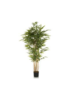 BAMBUS II - Kunstplant 