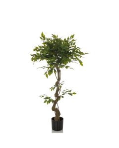 FICUS I - Kunstplant