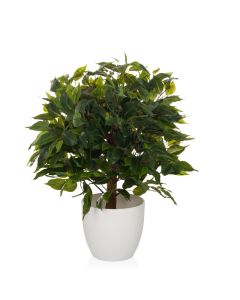 FICUS II - Kunstplant