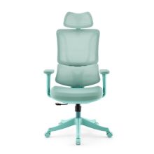 Ergomy Colore | Stof / 3D Mesh | Frame: Kleurrijk - Thuisgebruik bureaustoel Turkoois