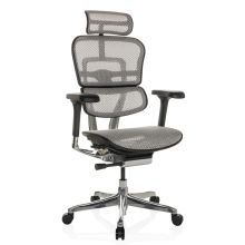 ERGOHUMAN GEN2 | net - Luxe directiestoel Lichtgrijs