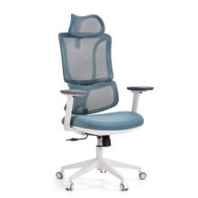 ERGOMY W | Stof / Net | Frame: Wit - Professionele bureaustoel Blauw