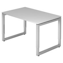 REGO 12 S | Bureau - 120x80 Grijs/Zilver Tafelhoogte I In hoogte verstelbaar