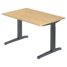 XTRA XB 12 GG | Bureau - Esdoorn 120x80 Tafelhoogte I In hoogte verstelbaar