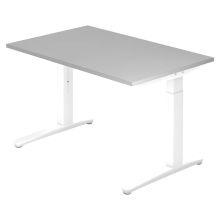 XTRA XB 12 WW | Bureau - Grijs 120x80 Tafelhoogte I In hoogte verstelbaar