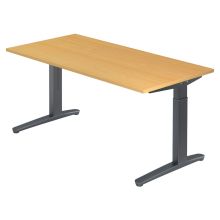 XTRA XB 16 GG | Bureau - Beuken 160 x 80 Tafelhoogte I In hoogte verstelbaar