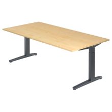 XTRA XB 2E GG | Bureau - Esdoorn 200 x 100 Tafelhoogte I In hoogte verstelbaar