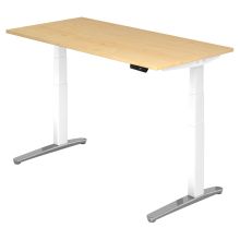 XBHM 16 WC | Bureau - Esdoorn 160 x 80 Tafelhoogte I Elektrisch in hoogte verstelbaar