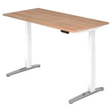 XBHM 16 WC | Bureau - 160 x 80 Walnoot Tafelhoogte I Elektrisch in hoogte verstelbaar