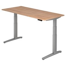 XBHM 19 SS | Bureau - 180 x 80 Walnoot Tafelhoogte I Elektrisch in hoogte verstelbaar