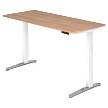 XBHM 19 WC | Bureau - 180 x 80 Walnoot Tafelhoogte I Elektrisch in hoogte verstelbaar