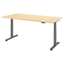 XDSM 2E G | Bureau - Esdoorn 200 x 100 Tafelhoogte I Elektrisch in hoogte verstelbaar