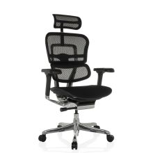 ERGOHUMAN GEN2 | Mesh / Stof - Luxe directiestoel