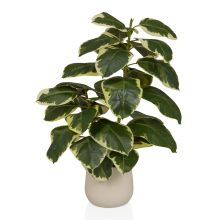 Ficus 3 - Kunstplant 