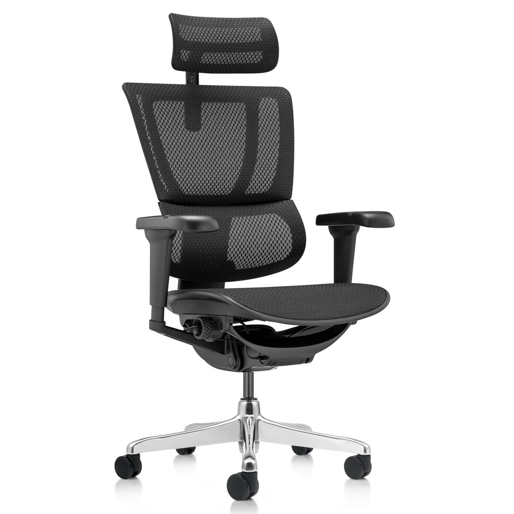 Bureaustoel24 ERGOHUMAN SLIM ULTRA GEN2 | net - Luxe directiestoel Zwart aanbieding